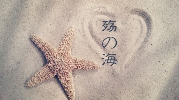 热刺进过欧冠吗